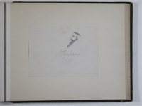 a4\62830c-36fa-4f65-b409-242febbaaf53.JPG